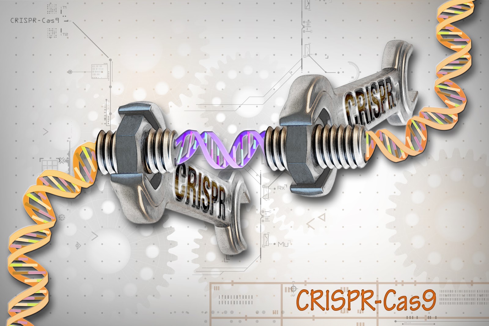 img-How CRISPR Revolutionizes Genomic Medicine