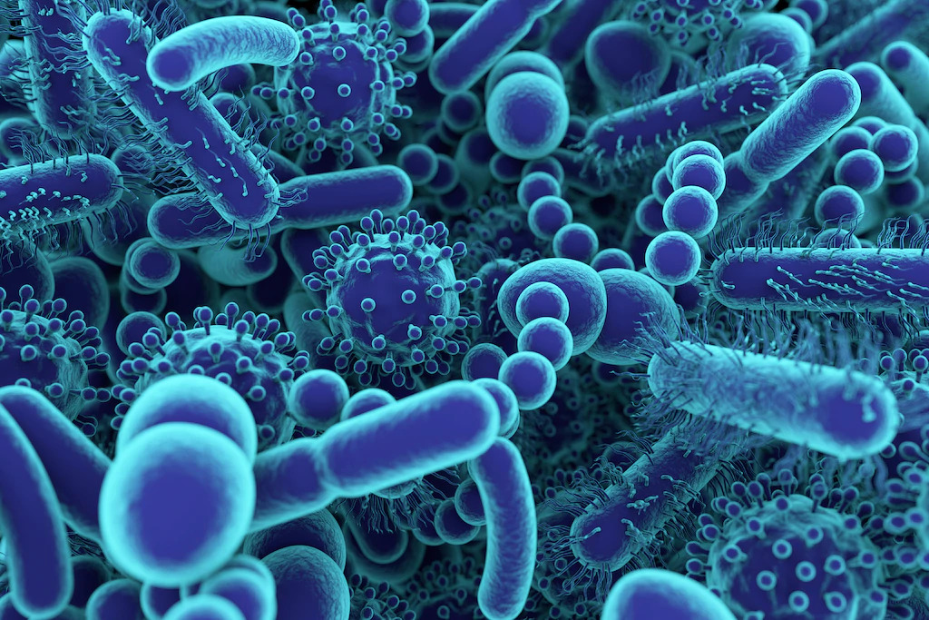 img-Investment into the Microbiome