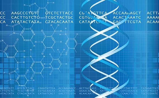 img-NGS Workflows For Clinical Diagnostics Applications