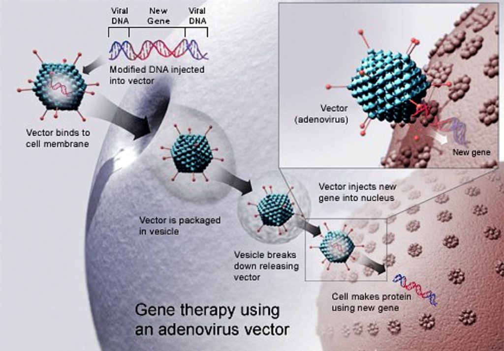 img-Jan. 26 - Track 1: Gene Modified Cell Therapies Track